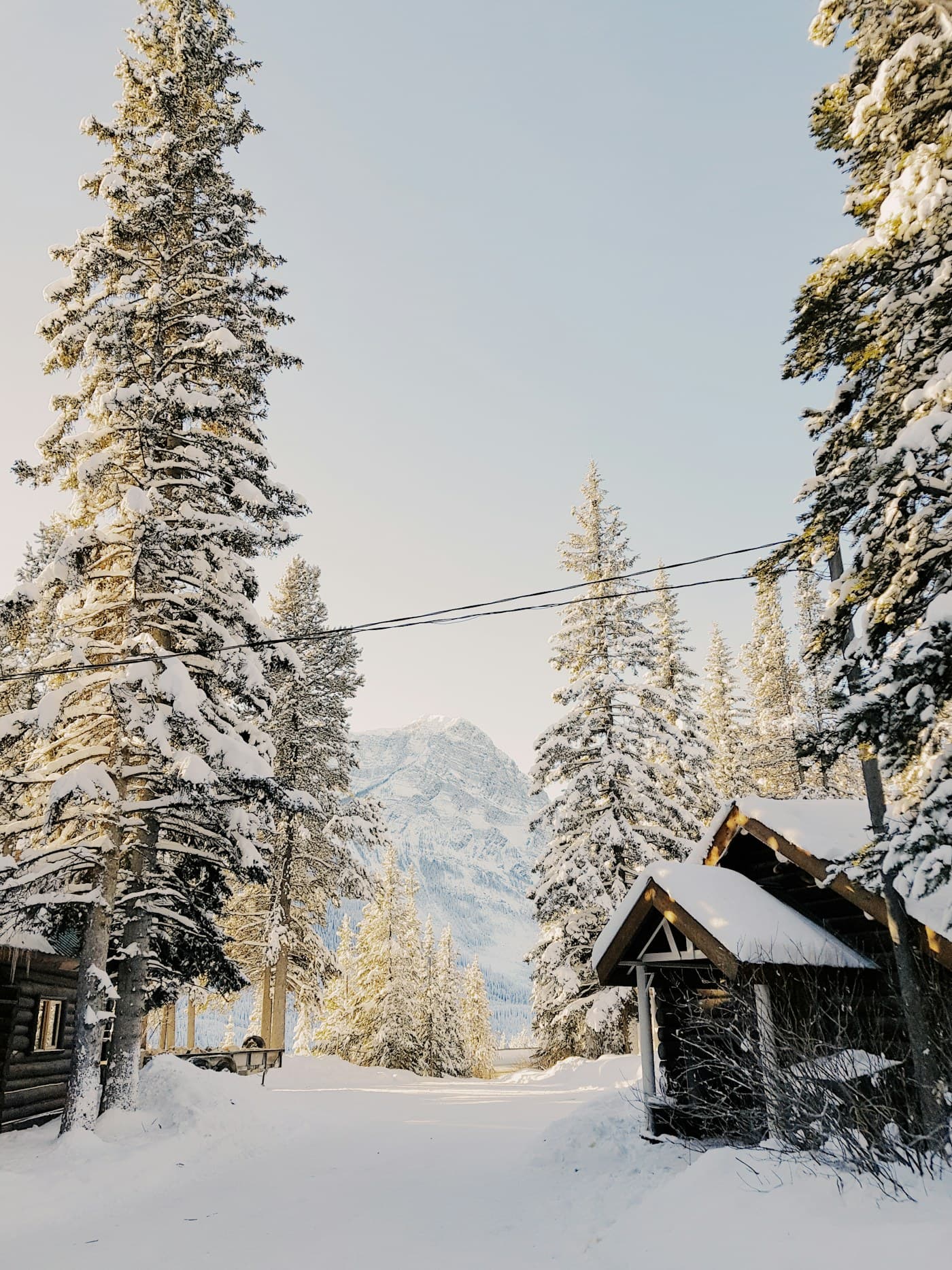 Chalet enneigé entouré de sapins givrés au cœur des Alpes